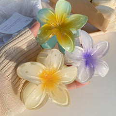 Wholesale Women's Sweet Flower Plastic Resin Hair Clip - ChicMeto