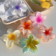 Wholesale Women's Sweet Flower Plastic Resin Hair Clip - ChicMeto